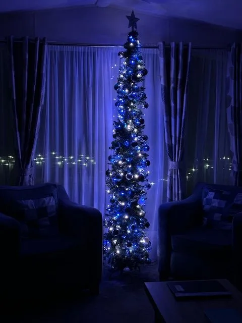 Lounge at Tern 32 in the evening with a glowing blue Christmas tree and lights against the darkness