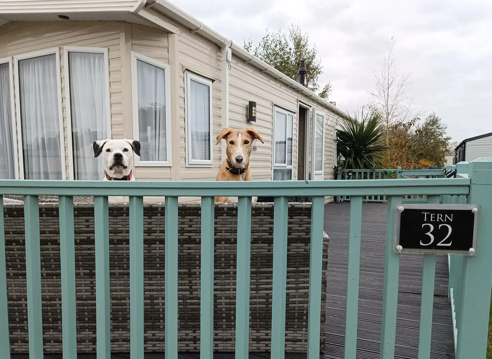 Tern 32, a caravan with a turquoise deck at Pinewoods Holiday Park