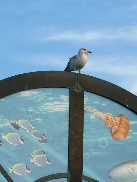 A seagull perched on a curved blue sign decorated with fish and a jellyfish
