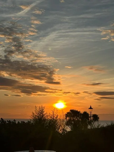 The sun setting over the sea beyond silhouetted trees and an old lamppost beneath a warm orange sky